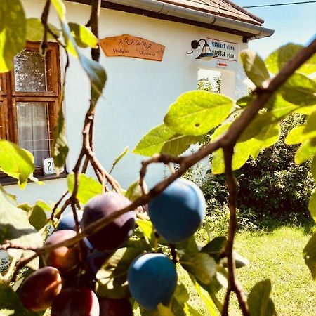 Ubytovanie U Aranky Cierna nad Tisou Dış mekan fotoğraf